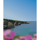 Cornwall In bloom
