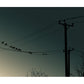 Dawn