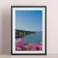 Cornwall In bloom