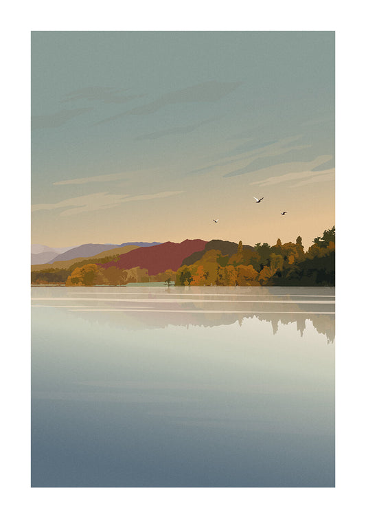Reflection